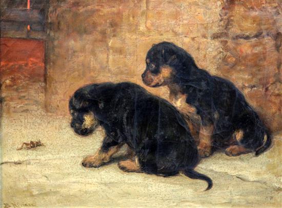 Briton Riviere (1840-1920) Who Are You? - two puppies and a grasshopper 14 x 19in.